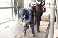 装蹄