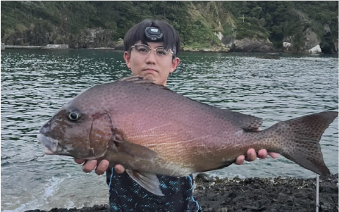 海技休日画像